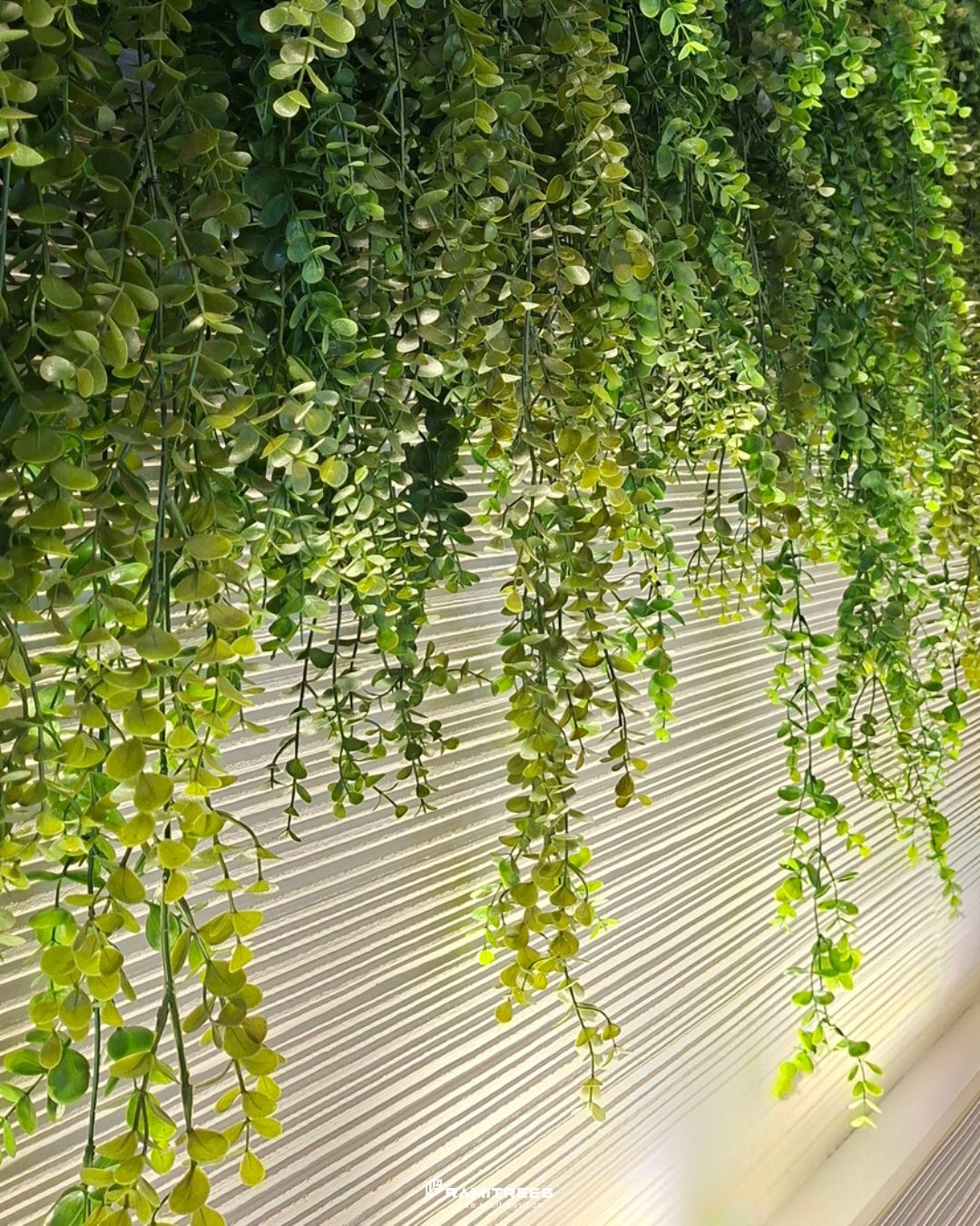Hanging Gardens สวนระย้าประดิษฐ์ (5)