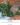 Indoor Landscape งานจัดสวนต้นไม้ประดิษฐ์ ให้กับพื้นที่บูธ The Forestias