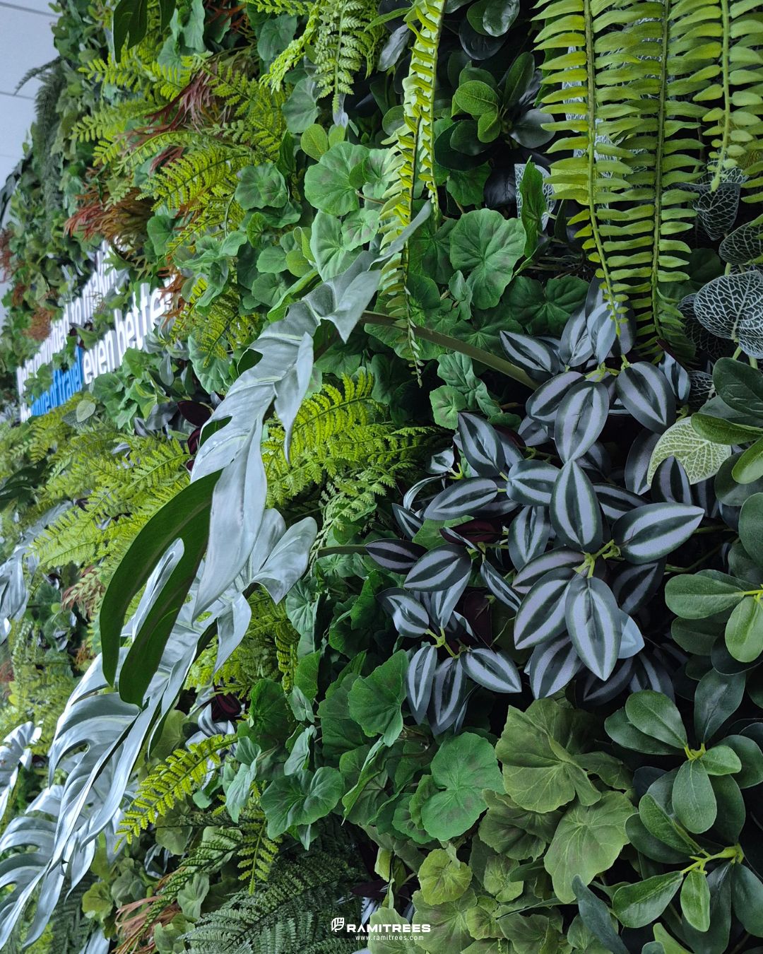 สวนแนวตั้งประดิษฐ์ Tropical (4)