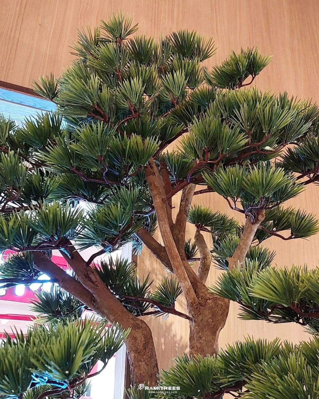 Bonsai Garden สวนต้นบอนไซประดิษฐ์ (4)