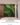 Moss Wall สวนแนวตั้งผนังมอสส์ประดิษฐ์